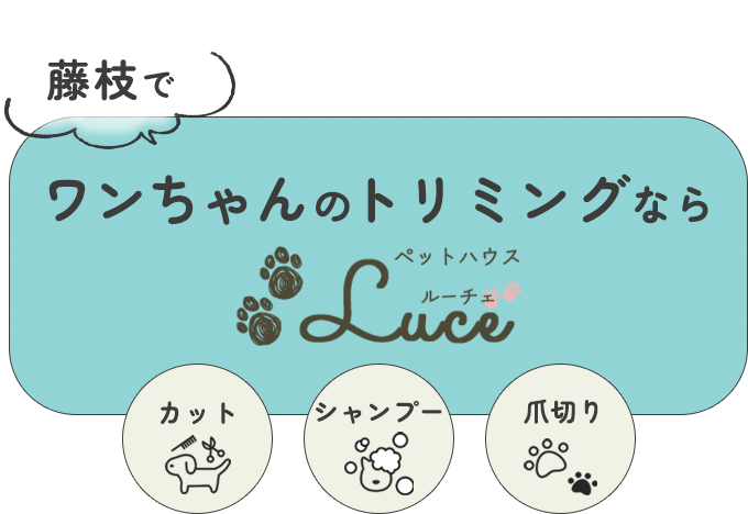 藤枝でワンちゃんのトリミングならペットハウスLuce　カット　シャンプー　爪切り