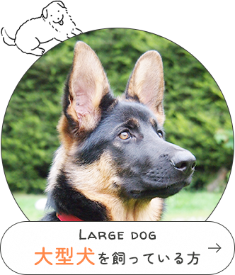 Large dog大型犬を飼っている方